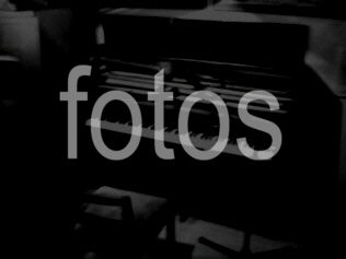 sara said | fotos